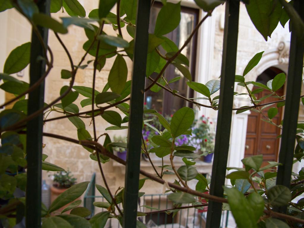 B&B Corte Dell' Idume เลชเช ภายนอก รูปภาพ